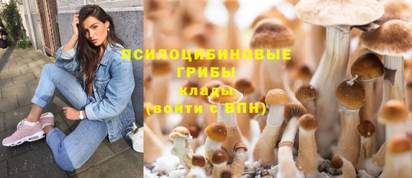 а пвп мука Бугульма